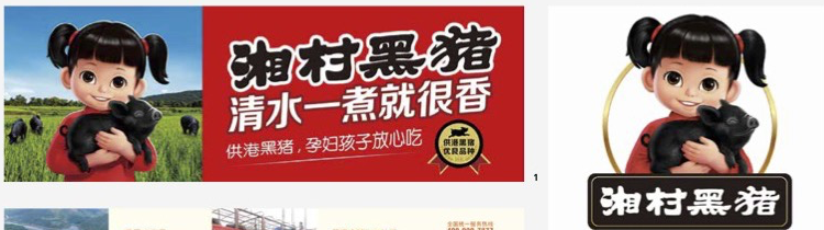 湘村黑猪品牌主视觉