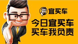 宜买车案例