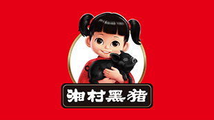 湘村黑猪案例