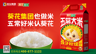 葵花阳光米案例
